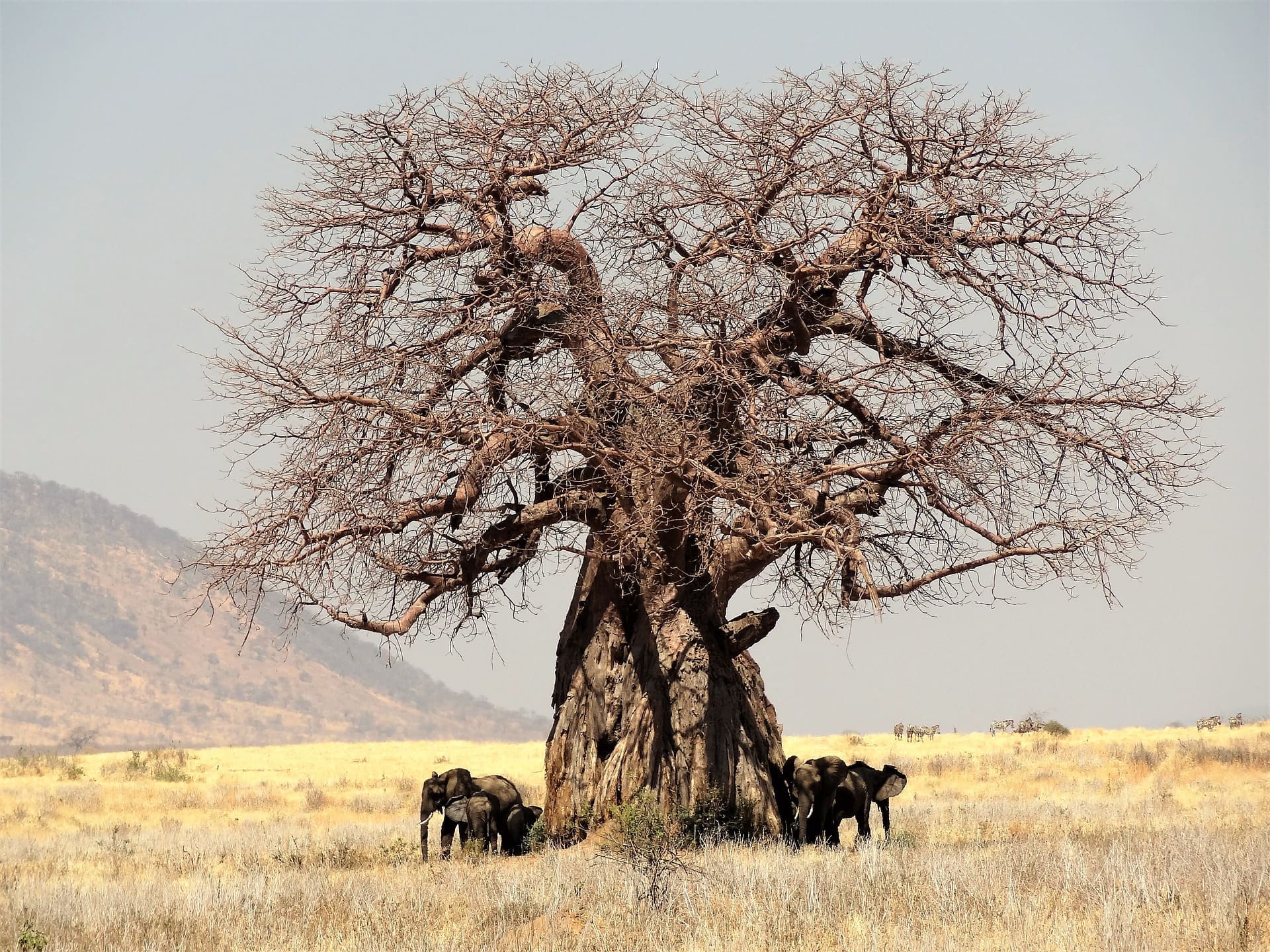 where to stay in kruger national park
